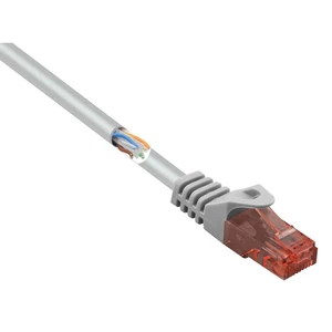 Basetech BT-1719353 RJ45 sieťové káble, prepojovacie káble CAT 6 U/UTP 25.00 cm sivá s ochranou, bez halogénov 1 ks