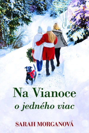 Na Vianoce o jedného viac - Sarah Morgan