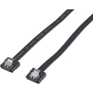 Kabel pro pevný disk [1x SATA zásuvka 7-pólová - 1x SATA zásuvka 7-pólová] Renkforce RF-4174584, černá