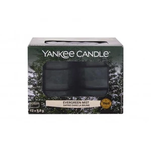 Yankee Candle Evergreen Mist 117,6 g vonná svíčka unisex