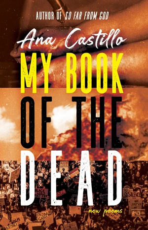 My Book of the Dead