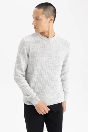 DEFACTO Men's Gray Standard Fit Regular Cut Crew Neck Textured Basic Knitwear Sweater