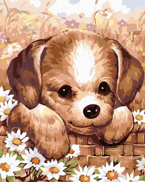 Zuty Pintura de diamantes Puppy