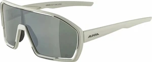 Alpina Bonfire Q-Lite Cool/Grey Matt/Silver Fahrradbrille