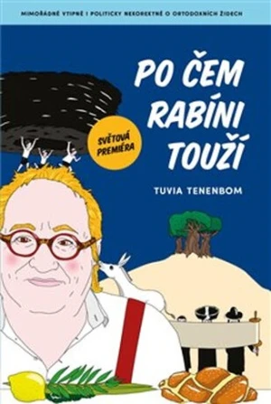 Po čem rabíni touží - Tuvia Tenenbom