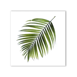 Obraz Styler Canvas Greenery Black Palm, 32x32 cm