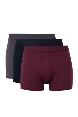 DEFACTO Men's 3-pack Boxer