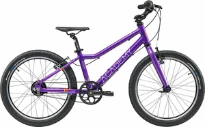 Academy Grade 4 Belt Morado 20" Bicicleta para niños