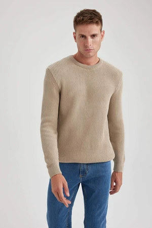 DEFACTO Standard Fit Crew Neck Knitwear Pullover