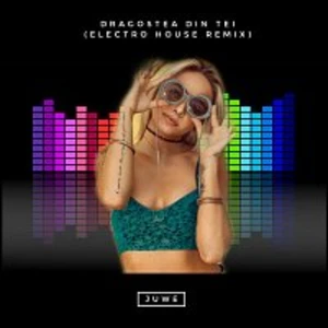 Juwe – Dragostea Din Tei (Electro House Remix)