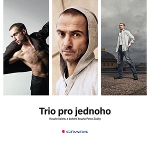 Trio pro jednoho, Kolektiv autorů