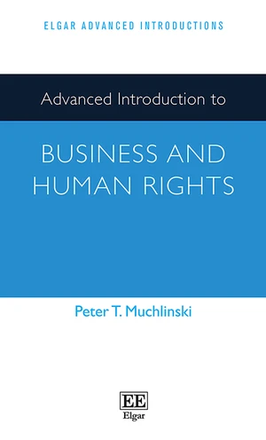 Advanced Introduction to Business and Human Rights