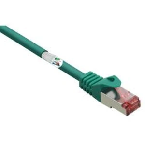 Síťový kabel RJ45 Renkforce RF-3432056, CAT 6, S/FTP, 30.00 m, zelená