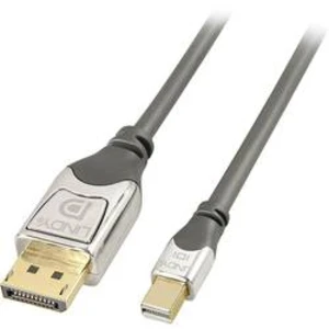 DisplayPort kabel LINDY [1x zástrčka DisplayPort - 1x mini DisplayPort zástrčka] šedá 3.00 m