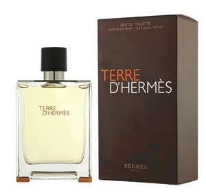 Hermes Terre D´ Hermes - EDT 100 ml