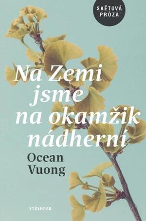 Na Zemi jsme na okamžik nádherní - Ocean Vuong