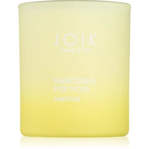 JOIK Home & Spa Narcissus vonná svíčka 150 g