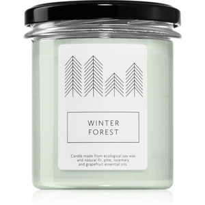 Hagi Winter Forest vonná svíčka 230 g