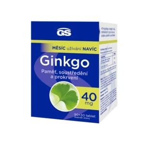 GS Ginkgo 40mg 90 +