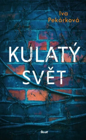 Kulatý svět (Defekt) - Iva Pekárková