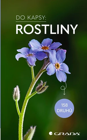 Rostliny - Do kapsy, Dreyerová Eva-Maria