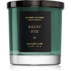 DW Home Modern Alchemy Smoky Oud vonná sviečka 241 g