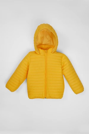 zepkids Boys' Yellow Color Fleece Hooded Coat.