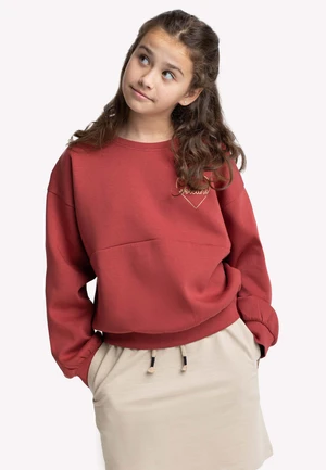 Volcano Kids's Regular Sweatshirt B-Nati Junior G01234-S22