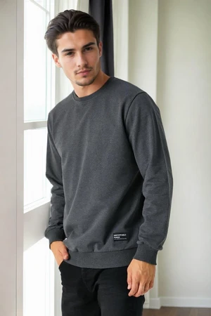 64602 Dewberry Basic Crew Neck Mens Sweatshirt-ANTHRACITE