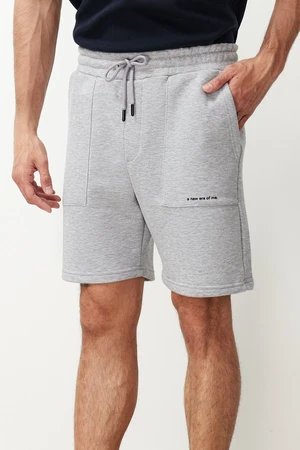 Trendyol Regular Cut Text Printed Shorts & Bermuda