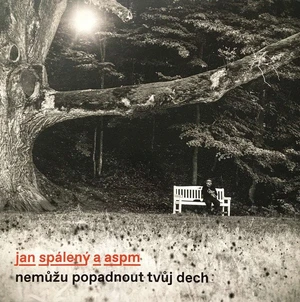 Jan Spálený & ASPM - Nemuzu Popadnout Tvuj Dech (LP)