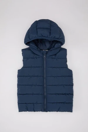 DEFACTO Baby Boy Water Repellent Hooded Zipper Closure Pocket Puffer Vest