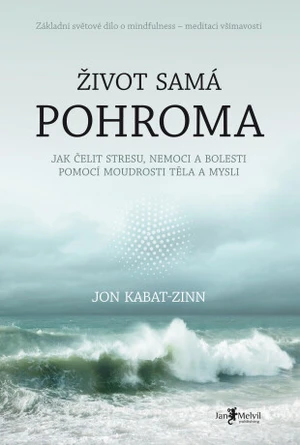 Život samá pohroma - Jon Kabat-Zinn