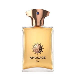 Amouage Dia Pour Homme - EDP 100 ml