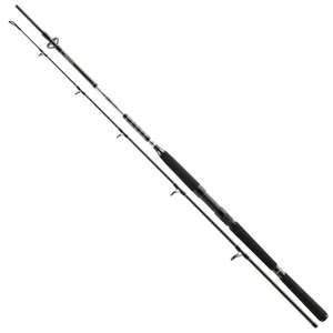 Daiwa prut bg pilk 2,70 m 50-165 g