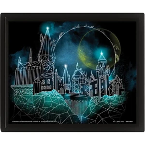 Pyramid International 3D obraz Harry Potter Rokfort