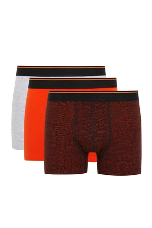 DEFACTO Regular Fit 3-Piece Boxer