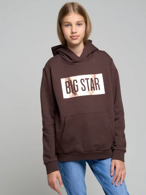 Big Star Woman's Hoodie 171564-804 Brown