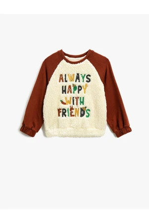 Koton Plush Sweater Detailed Sweatshirt With Embroidered