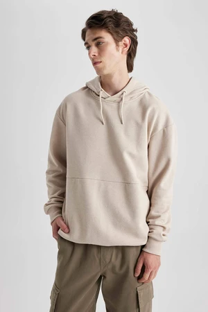 DEFACTO Boxy Fit Long Sleeve Sweatshirt