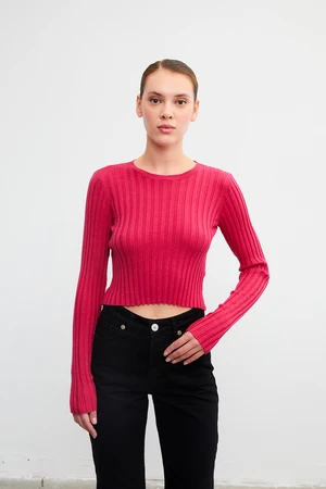 VATKALI Ribbed crop top blouse