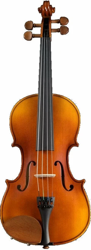 Pearl River PR-V01 4/4 Akustische Violine