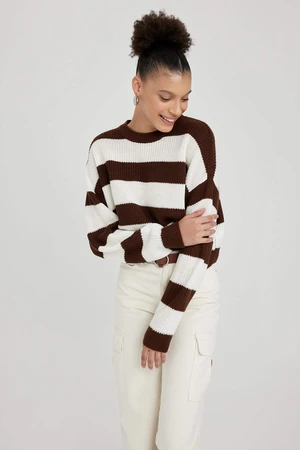 DEFACTO Oversize Fit Crew Neck Knitwear Pullover