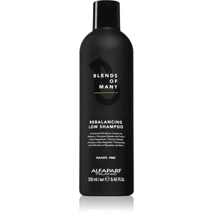 Alfaparf Milano Blends of Many Rebalancing šampón proti lupinám 250 ml