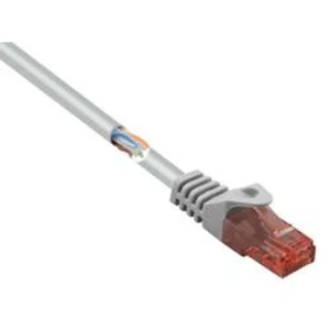 Síťový kabel RJ45 Basetech BT-1719353, CAT 6, U/UTP, 25.00 cm, šedá