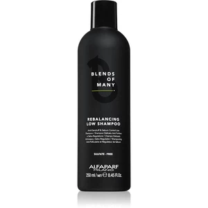 Alfaparf Milano Blends of Many Rebalancing šampon proti lupům 250 ml