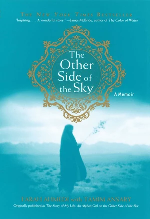 The Other Side of the Sky