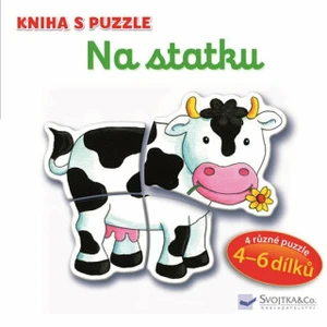 Kniha s puzzle - Na statku Vera Bruggemann - Vera Brüggemannová