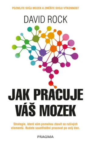 Jak pracuje váš mozek - David Rock - e-kniha