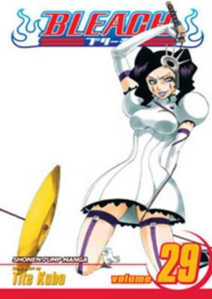 Bleach 29 (anglicky) - Tite Kubo